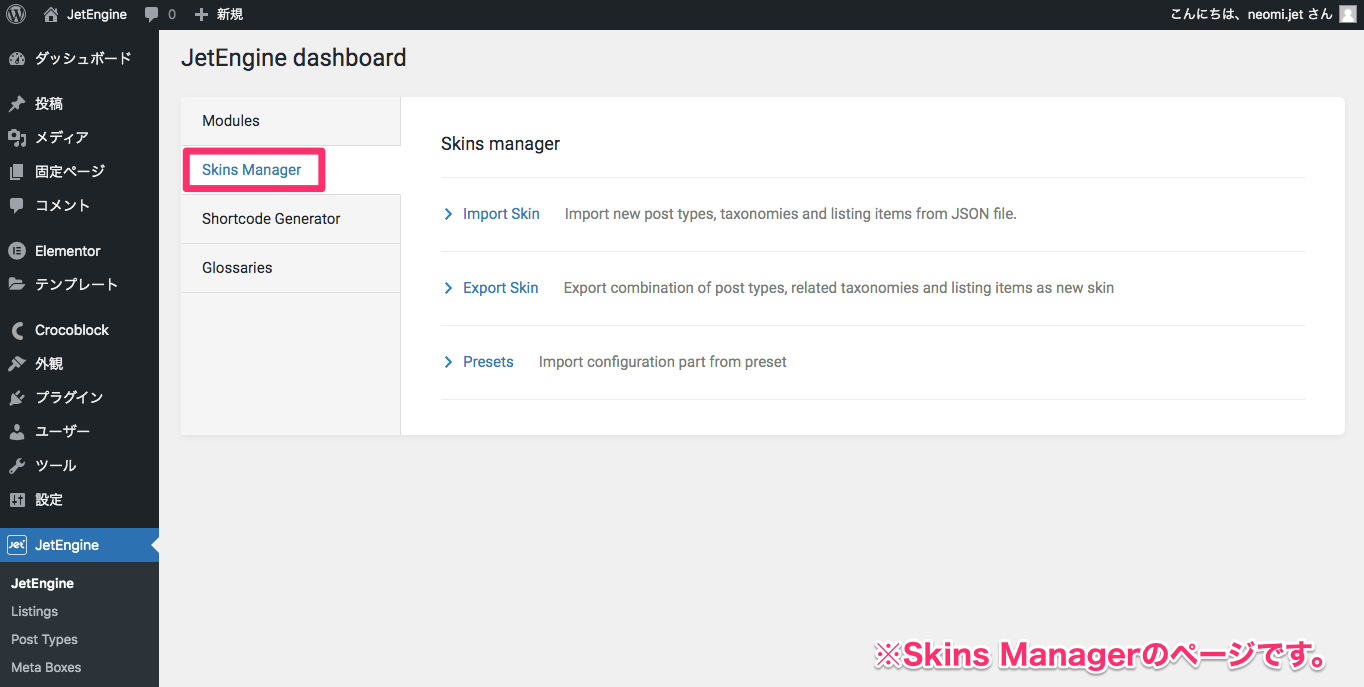 Skin Managerのタブ・表示画面