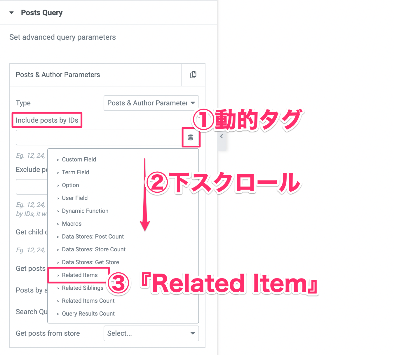 Include posts by IDの『動的タグ』をクリックし『Related Item』を選択