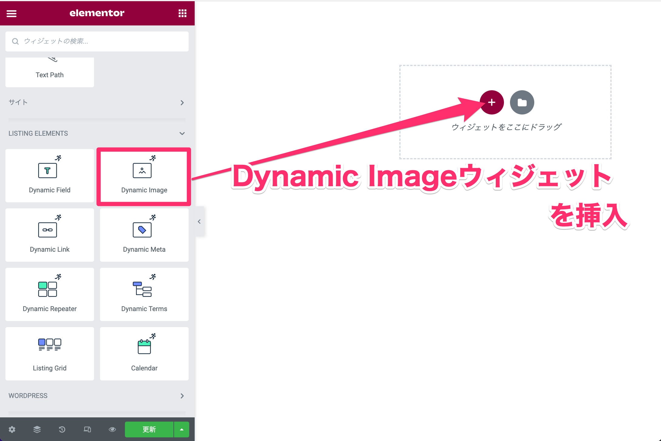 Daynamic Imageウィジェットを挿入
